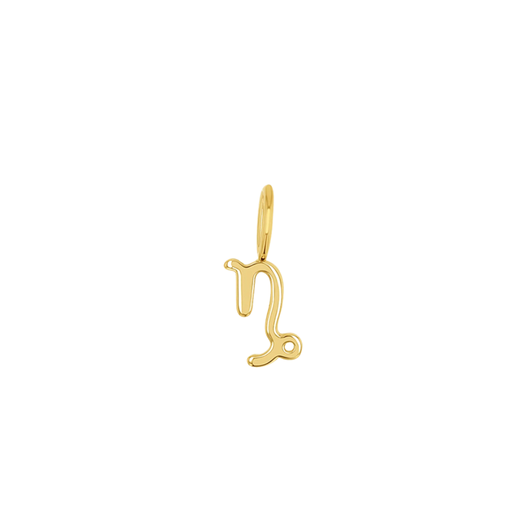 Zodiac Pendant